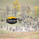 www.dakotastar.org