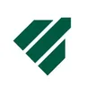 Datasis Corporation logo