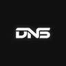 DNSnetworks logo