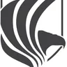 Eagle Eye International Protective Services logo
