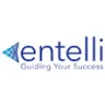 Entelli Consulting LLC logo