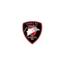 Esprit De Security Services, Inc logo