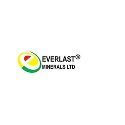 Everlast Minerals Ltd. logo