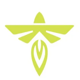 Firefly Aerospace Inc. Common Stock logo