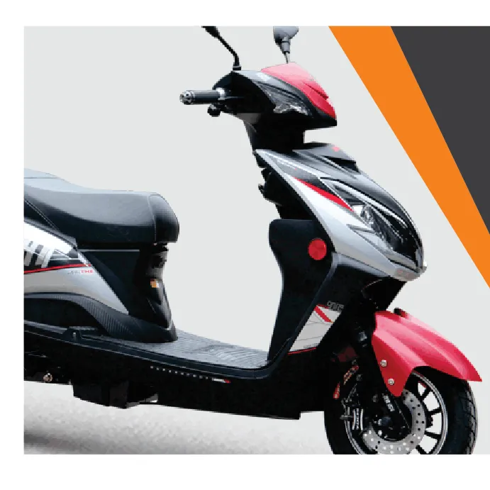 Fly-E Group, Inc. Common Stock logo