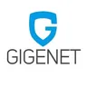 GigeNET - Dedicated Servers & Colocation (Chicago) logo