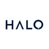 Halo Media's company logo