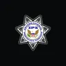 International Protective Services Inc logo
