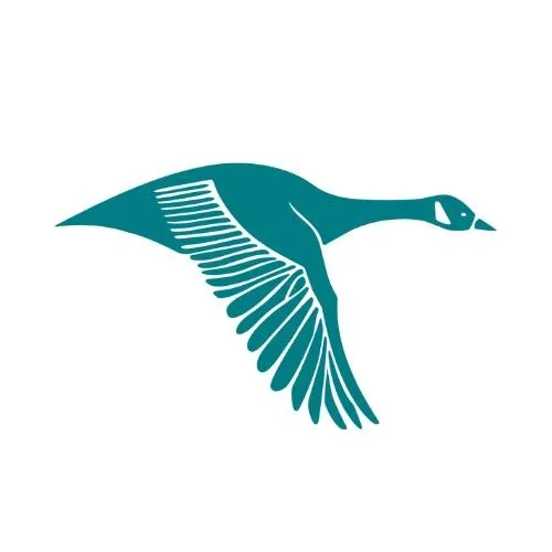 Investors Title Company logo