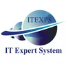 IT Expert System, INC logo