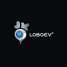 LOBO EV TECHNOLOGIES LTD. Ordinary shares logo