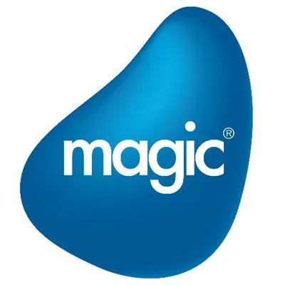 Magic Software Enterprises Ltd logo
