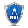 Maloney Security, Inc. logo