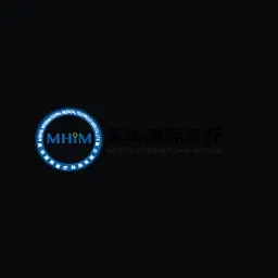 Meihua International Medical Technologies Co Ltd logo