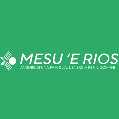 MESU E RIOS GROUP SRL