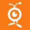 Netfolie Web Agency logo