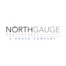 NorthGauge Healthcare Advisors, LLC logo