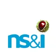 www.nsandi.com
