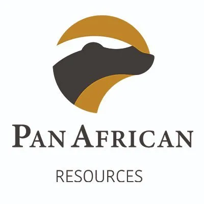 PANAFRICAN CDI 1:1 logo