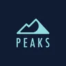 Peaks Digital Marketing | Denver SEO logo
