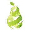 Pear Project Services | Used Office Furniture - Denver logo