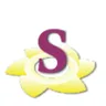 Safal EOT Crane logo