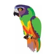 senegalPROJECTS