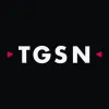 The Global Strategy Network logo