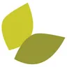 Tree Top Web Design logo