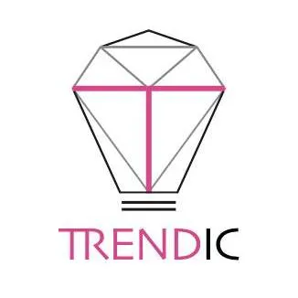 Dreamland Limited Class A Ordinary Shares logo