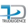 TruDiligence logo