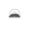v17 Consulting logo