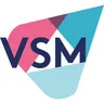 Vision Strategy Marketing Inc (VSM) logo
