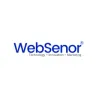 WebSenor LLC - Website development company, Web design company in Denver logo