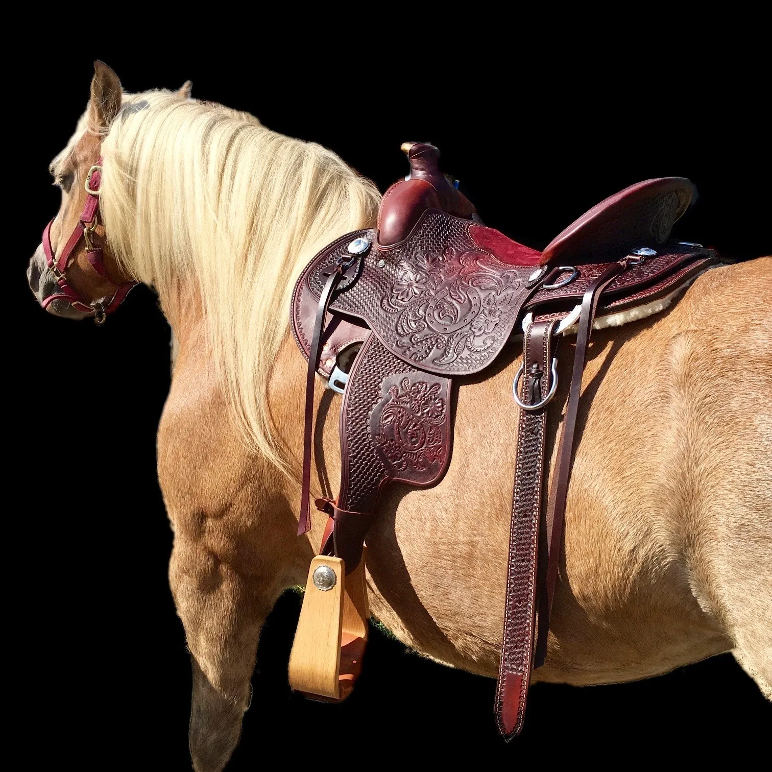 Wyomingsaddlecompany