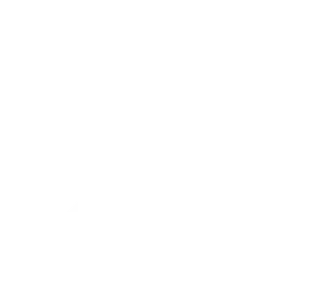 X (formerly Twitter) light logo