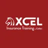 XCEL Solutions logo