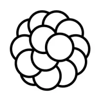 Xeol logo