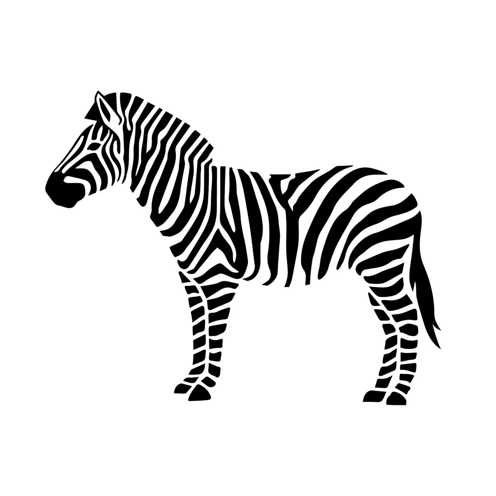 Yayzebra