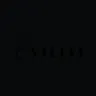 Yilite Group Inc logo