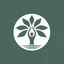 Yoloha Yoga logo