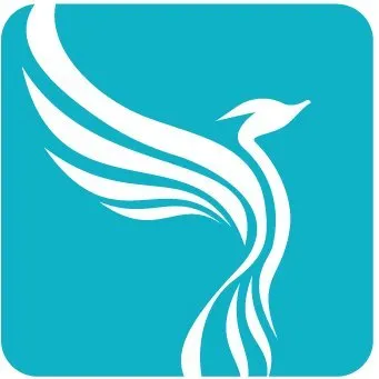 Your Company Formations