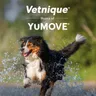 yumove logo
