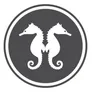 Logo Zeezicht - Ridderstraat