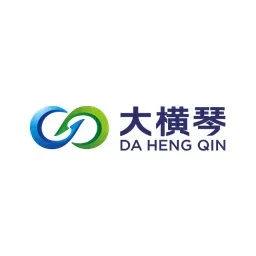 大横琴资本 logo