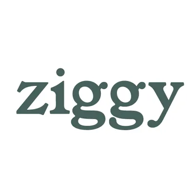 Ziggy logo