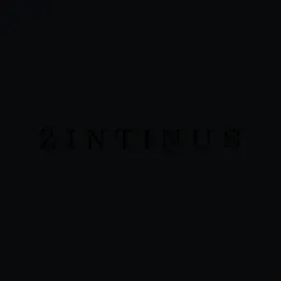 Zintinus logo