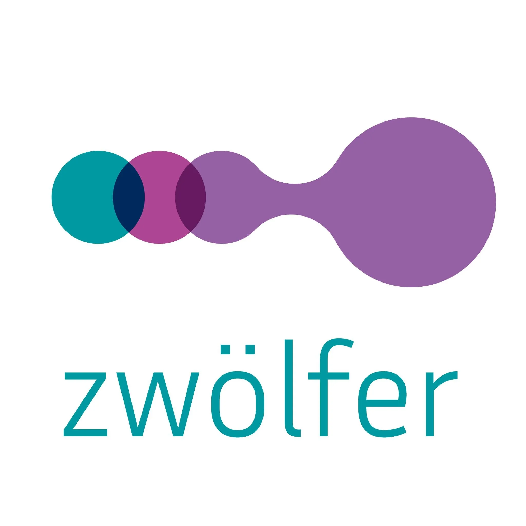 zwölfer die 360 personalberatung logo